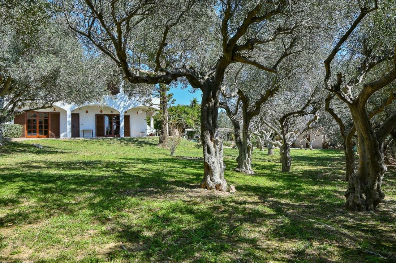 Light-Filled Home With Garden Near Beach Anavyssos Dış mekan fotoğraf