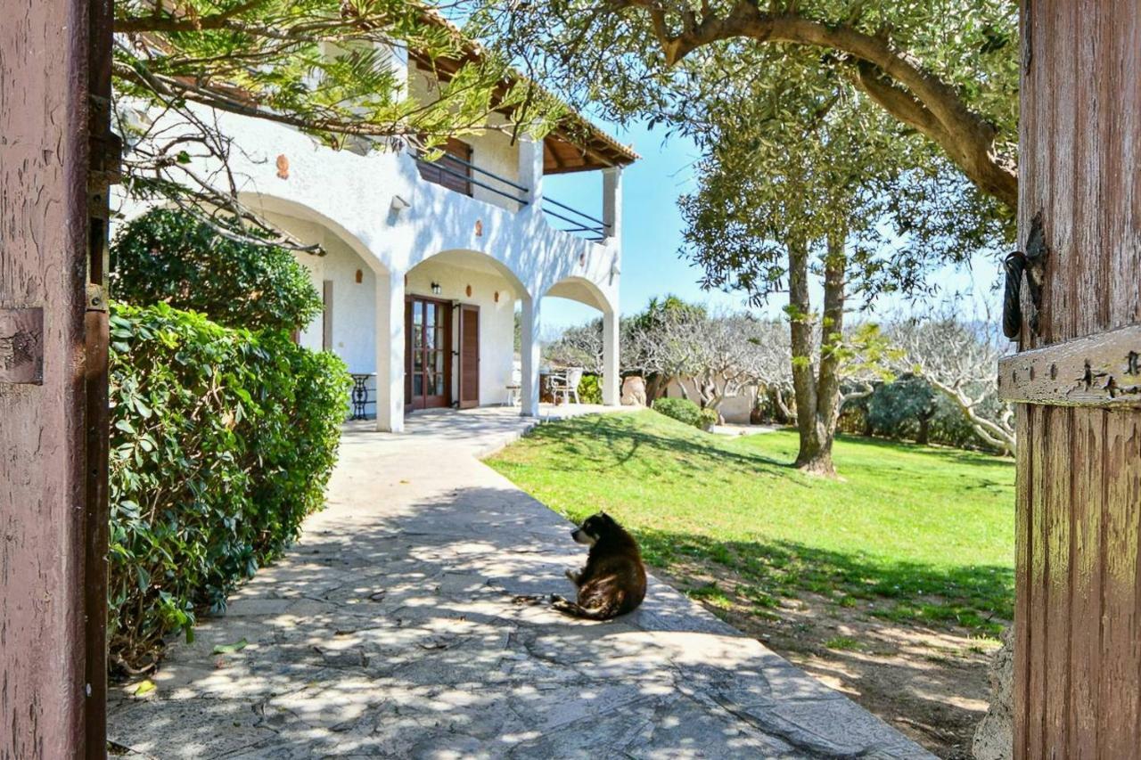 Light-Filled Home With Garden Near Beach Anavyssos Dış mekan fotoğraf