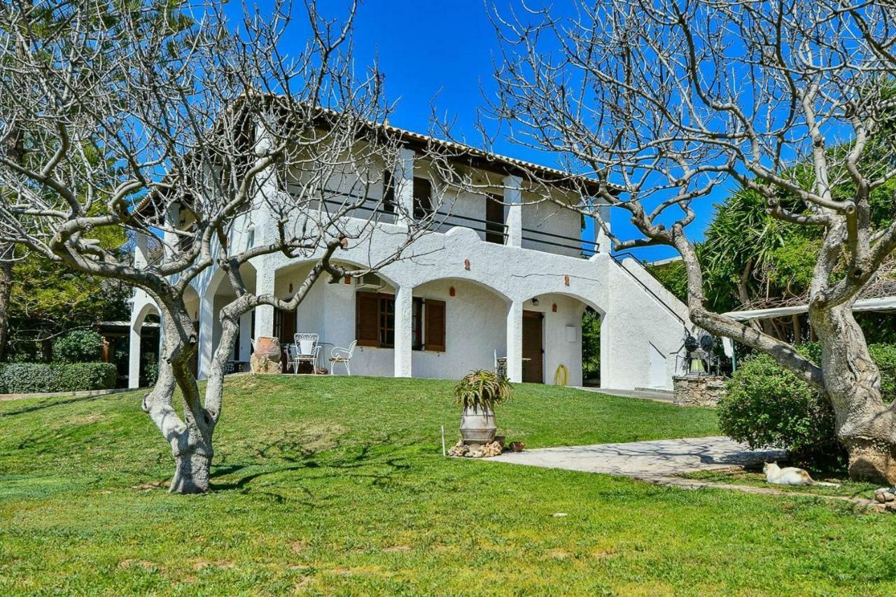 Light-Filled Home With Garden Near Beach Anavyssos Dış mekan fotoğraf
